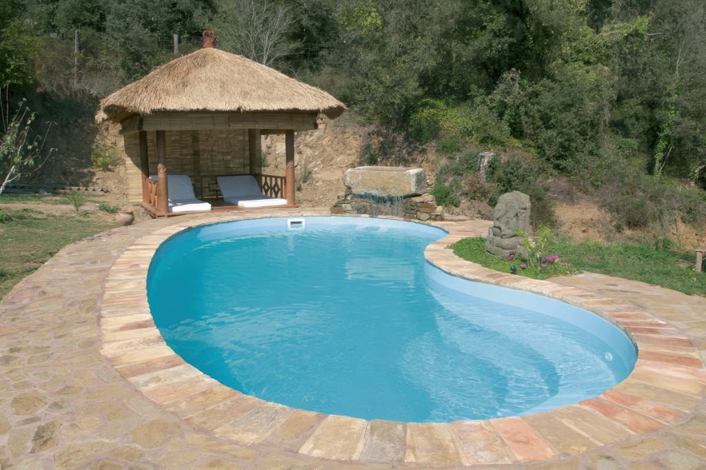 Kidney pool with stone coping, a thatched gazebo and a hillside, starting photo for Mix&Design integrate a drawing