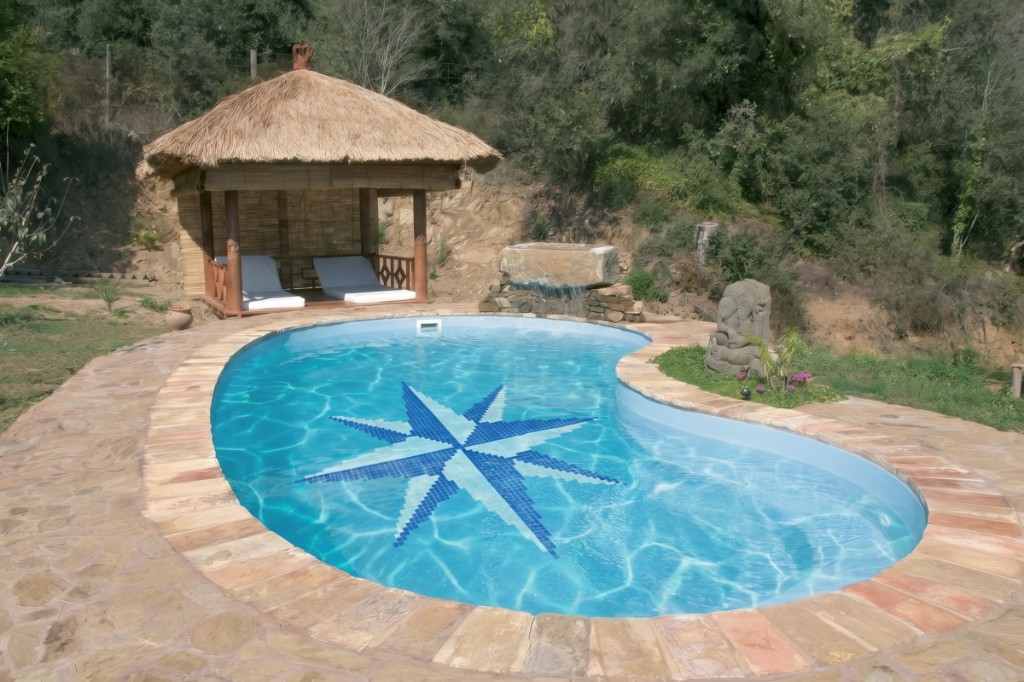 The same kidney pool with a mosaic compass rose on the floor, generated with Mix&Design
